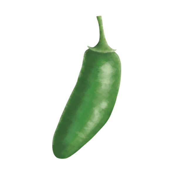 Chili 'Jalapeño'