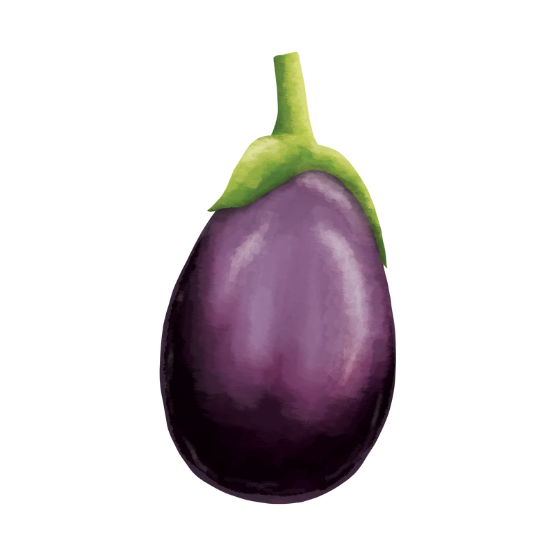 Aubergine &