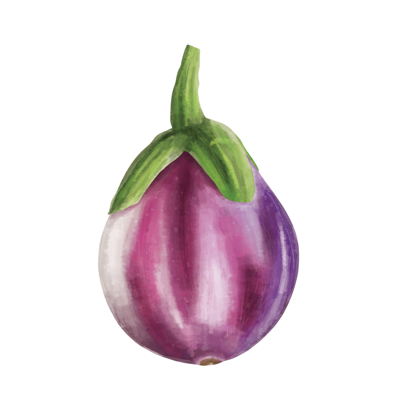 Aubergine &