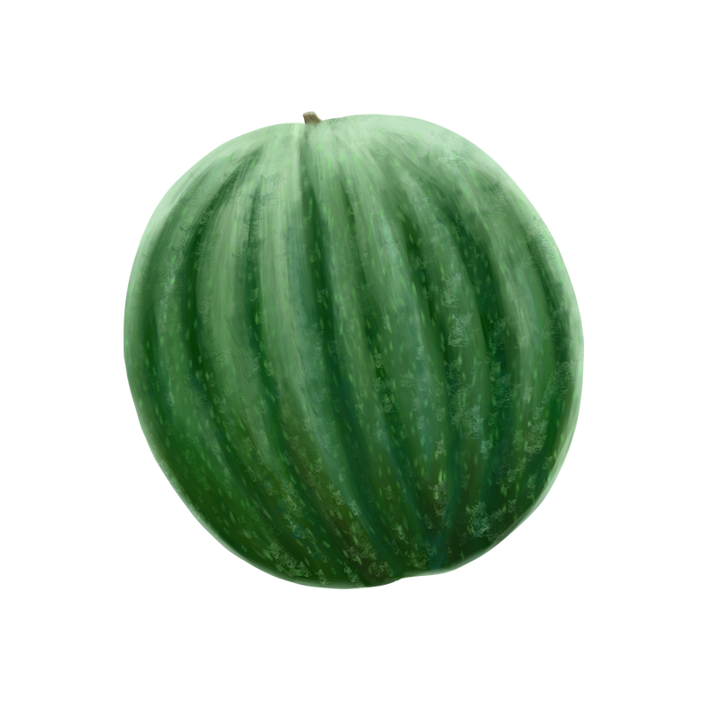 Melon &