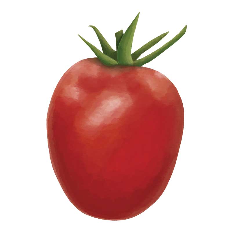 Tomat &