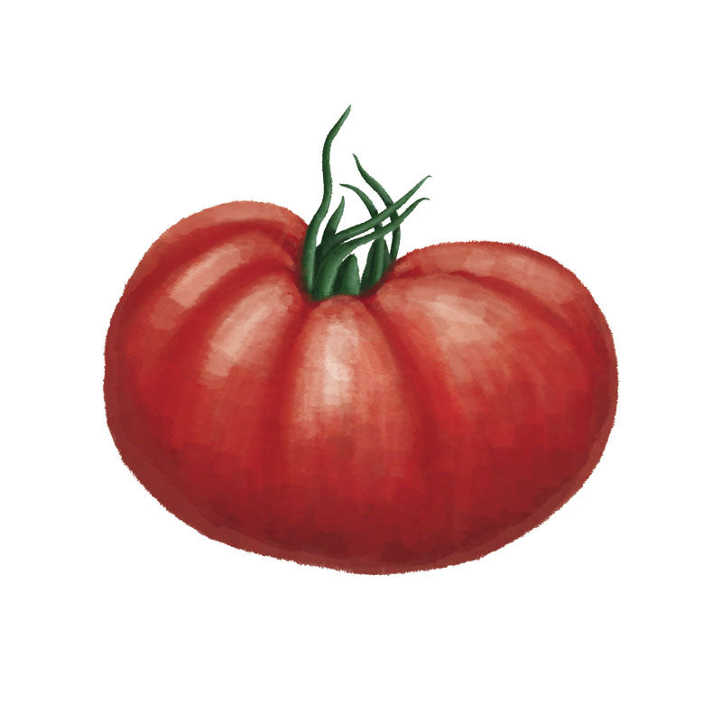 Tomat &
